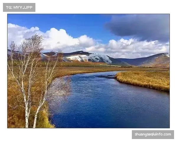 观点：商业化与业余精神的平衡——论NCAA冰球运动员的“姓名、形象和肖像权”收入